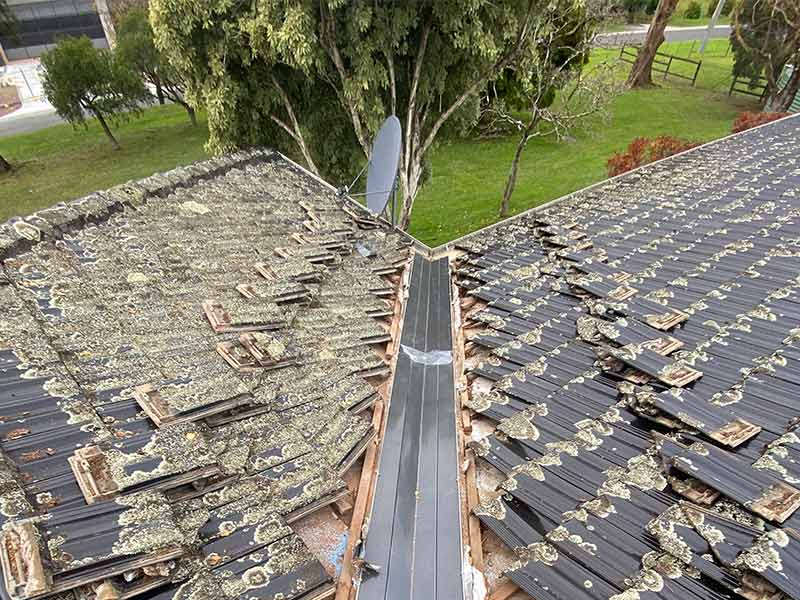 Roof-Moss-Removal Roof-Moss-Removal
